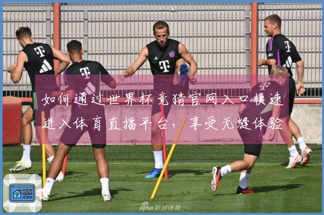 如何通过世界杯竞猜官网入口快速进入体育直播平台，享受无缝体验