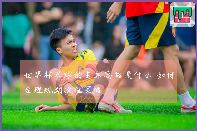 世界杯买球的基本思路是什么 如何合理规划投注策略