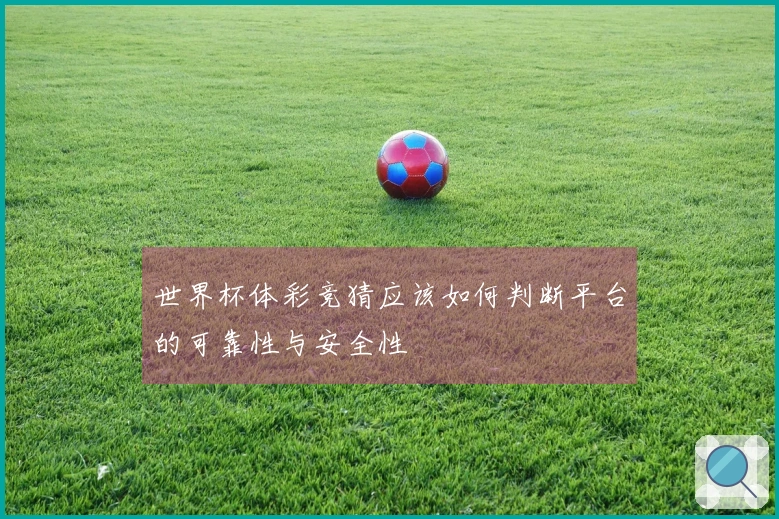 世界杯体彩竞猜应该如何判断平台的可靠性与安全性