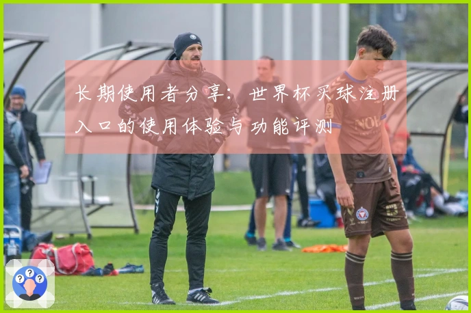 长期使用者分享：世界杯买球注册入口的使用体验与功能评测