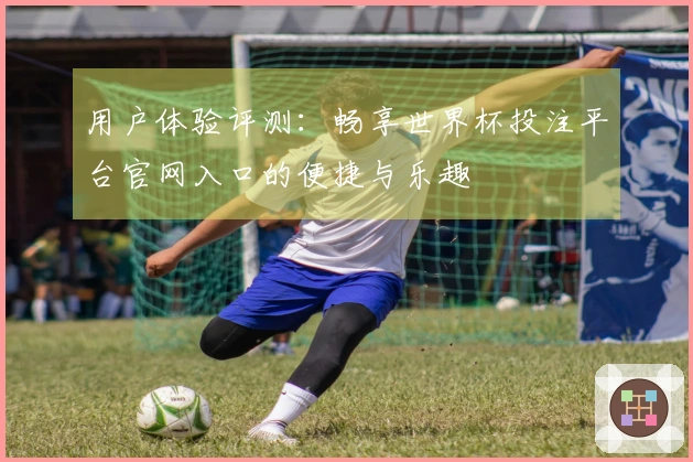 用户体验评测：畅享世界杯投注平台官网入口的便捷与乐趣