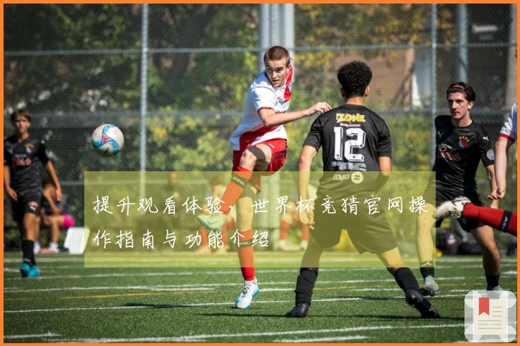 提升观看体验，世界杯竞猜官网操作指南与功能介绍