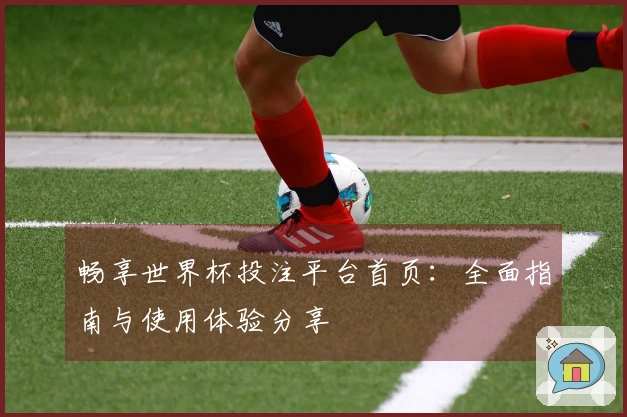 畅享世界杯投注平台首页：全面指南与使用体验分享