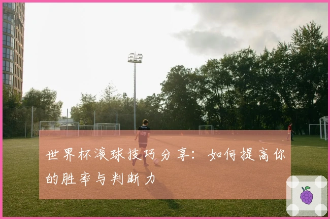 世界杯滚球技巧分享：如何提高你的胜率与判断力
