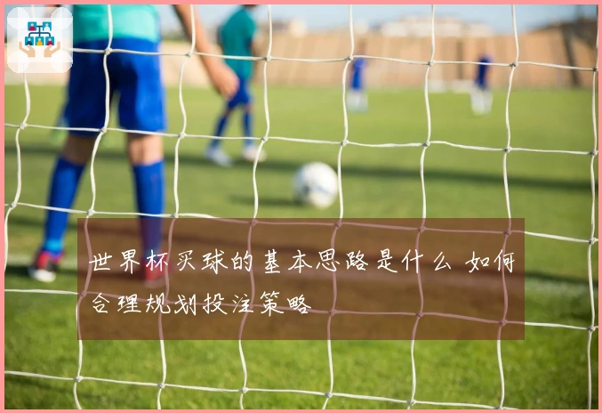 世界杯买球的基本思路是什么 如何合理规划投注策略