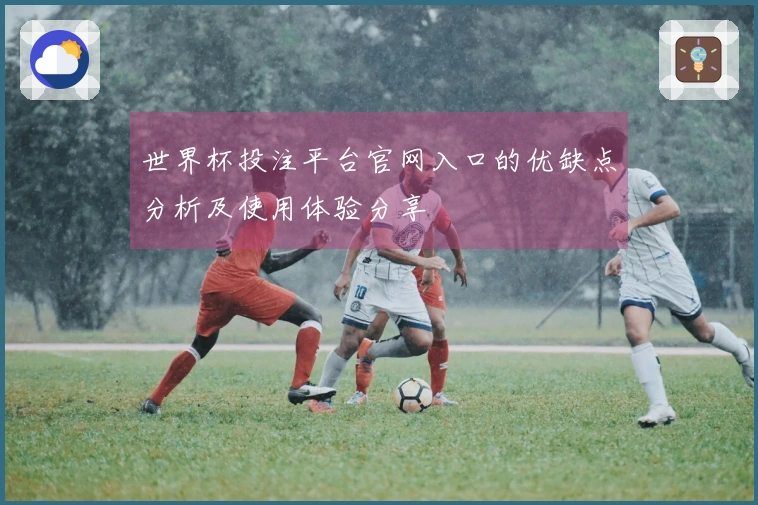 世界杯投注平台官网入口的优缺点分析及使用体验分享