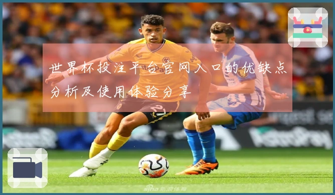 世界杯投注平台官网入口的优缺点分析及使用体验分享