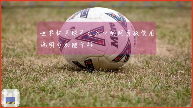 世界杯买球平台入口的网页版使用说明与功能介绍