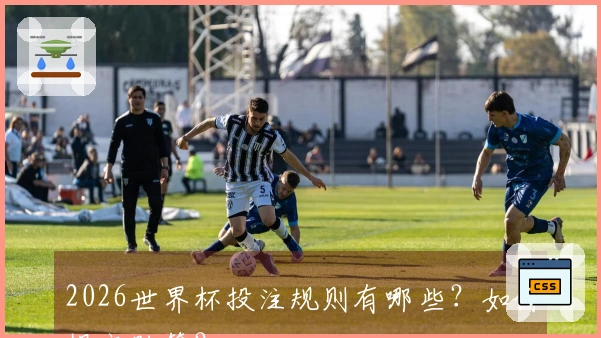 2026世界杯投注规则有哪些？如何提高胜算？