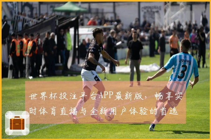 世界杯投注平台APP最新版，畅享实时体育直播与全新用户体验的首选平台